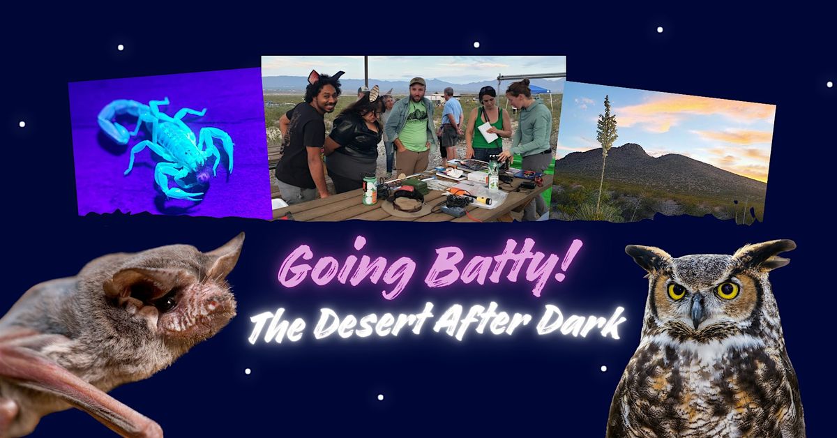 Going Batty! The Desert After Dark at the Chihuahuan Desert Nature Park, 11 October | Event in Las Cruces