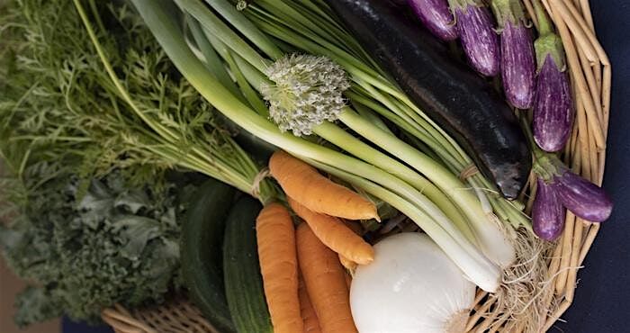 10-11-2025  Edible Landscape, 11 October | Event in Zephyrhills | AllEvents