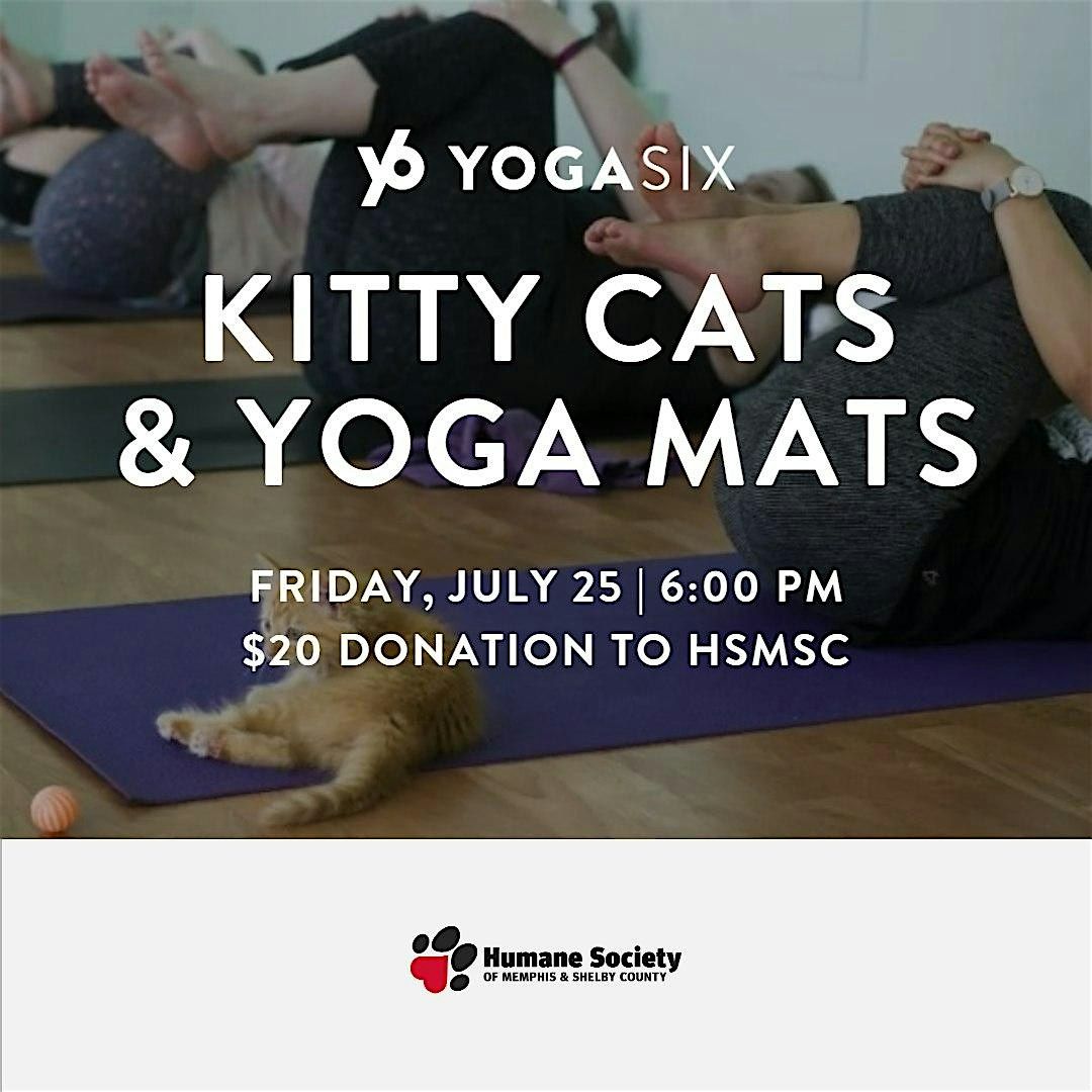 Kitty Cats & Yoga Mats, 25 July | Event in Memphis | AllEvents