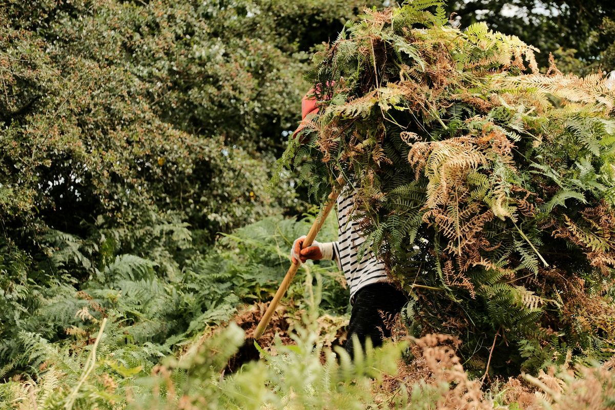 NWT Sweet Briar Marshes - Youth practical conservation session, 17 February | Event in Norwich | AllEvents