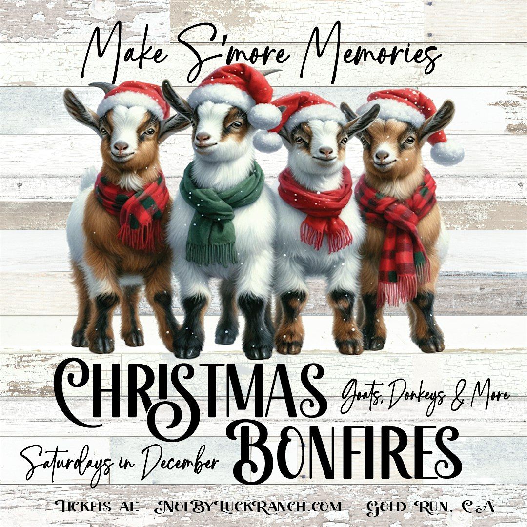 Christmas Bonfires at Not By Luck Ranch, 20 December | Event in Gold Run | AllEvents