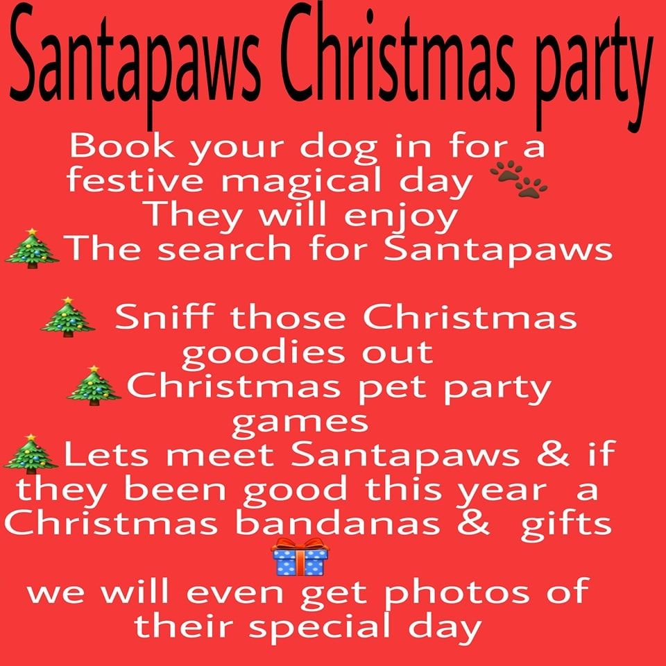 Santapaws pet party ? ???, Chaiquinta Pet Hotel and Grooming Salon