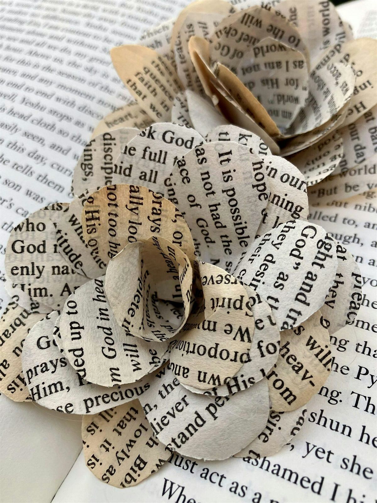The Art of Paper Flowers : Art Class, 25 September | Event in Schenectady | AllEvents