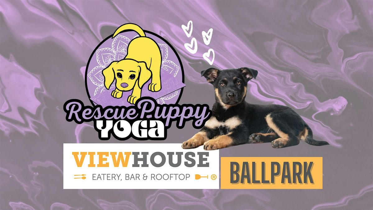 Rescue Puppy Yoga - ViewHouse Ballpark, 24 August | Event in Denver | AllEvents
