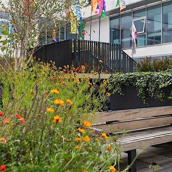 Growth garden workshop | Event in Birmingham | AllEvents