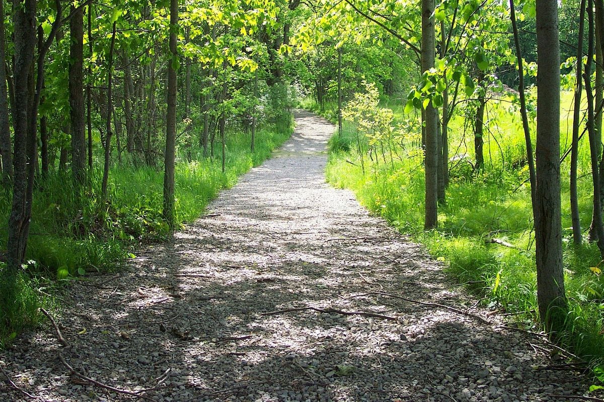 Silent Sharing Hike, 17 July | Event in Rochester | AllEvents