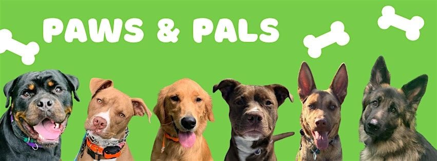 MMK9A Paws & Pals: FREE Public Group Training Day!, 20 August | Event in Troy | AllEvents