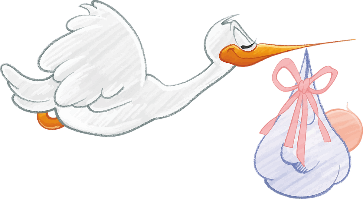 Fast Track Childbirth Seminar, 6 December | Event in Maryville | AllEvents