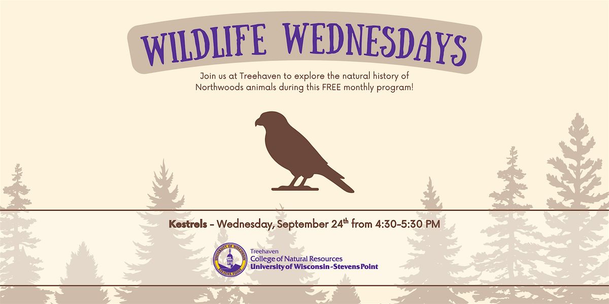 Wildlife Wednesday at Treehaven: Kestrels, 24 September | Event in Tomahawk | AllEvents