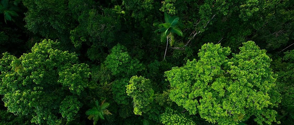 Exploring Environmental Markets, 27 November | Event in Smithfield | AllEvents