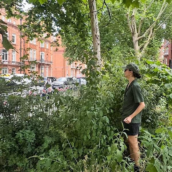 DeCarbon Dialogues: Planning a Microforest for DeKalb, 14 October | Event in DeKalb | AllEvents