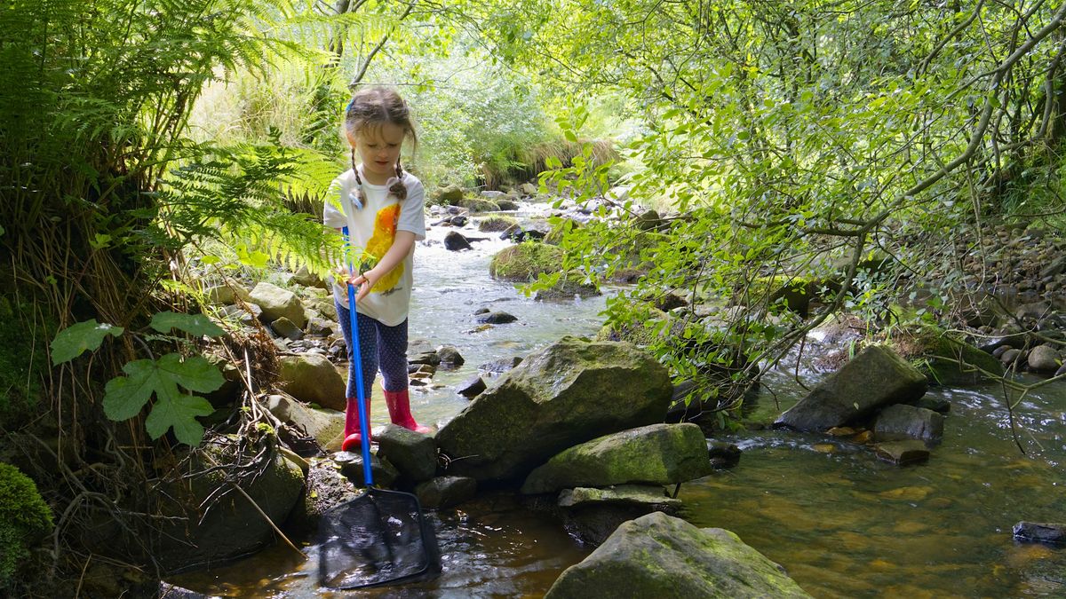 Nature detectives walk at Smithills Estate, 31 May | Event in Horwich | AllEvents