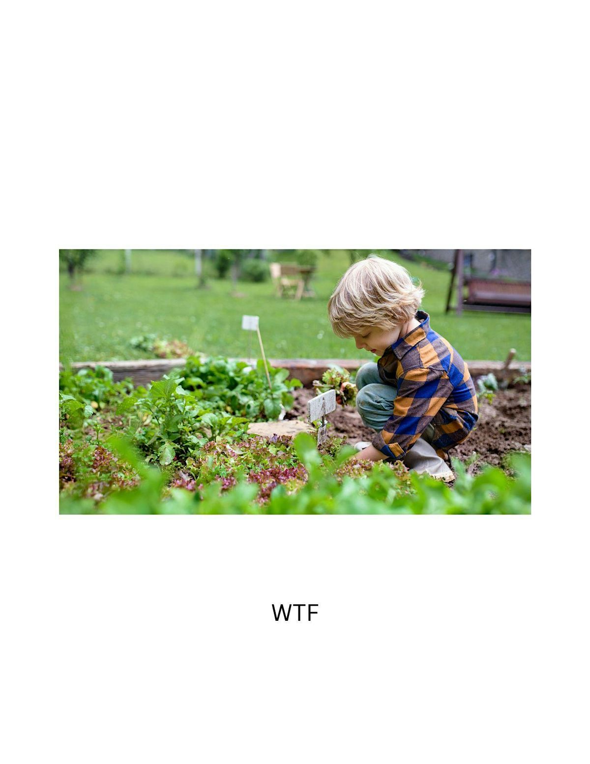 Drop in Parent and Me Little Farmer Classes 9/2 - 9/5, 2 September | Event in Westport | AllEvents