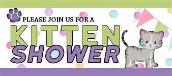 Kitten Shower Donation Drive Saturday, May 10, at Second Hand Purrs, 10 May | Event in Milwaukee | AllEvents