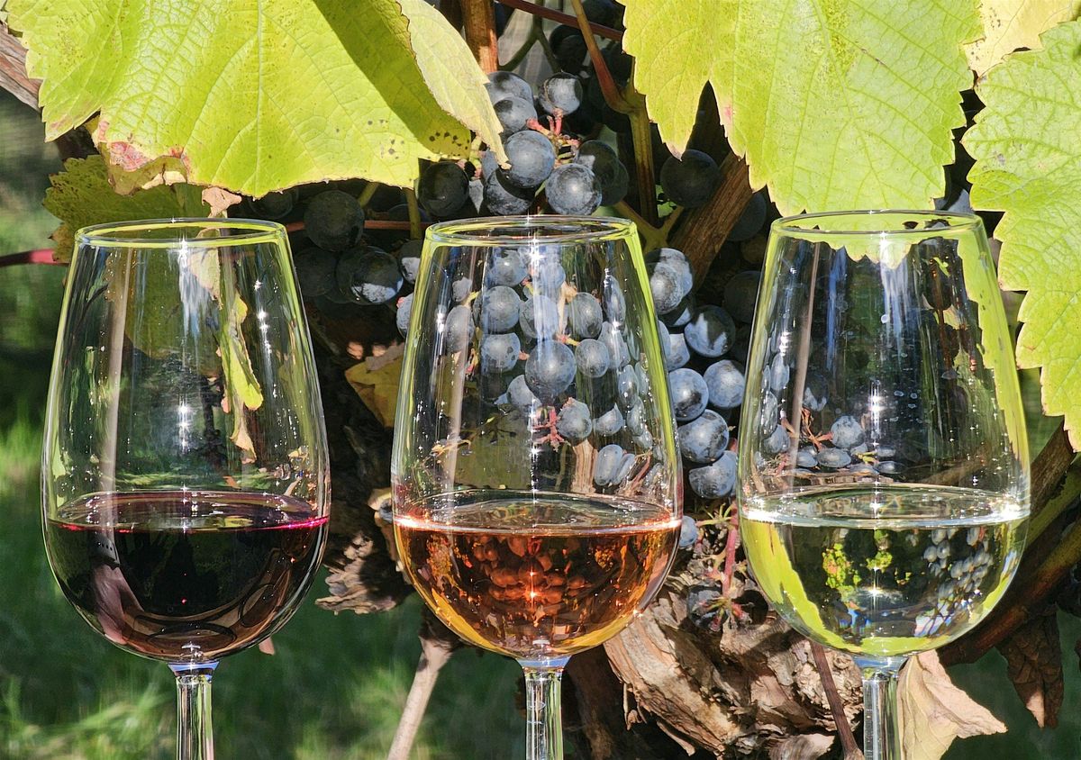 HILLY HIKE 16km The Hidden Valleys, Vineyards and Tudor Palaces of Kent, 26 April | Event in London | AllEvents