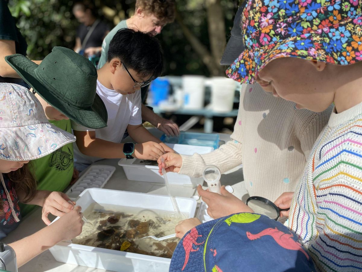 Mission: Mozzie - uncover the secret life of mosquitos!, 15 January | Event in Capalaba | AllEvents