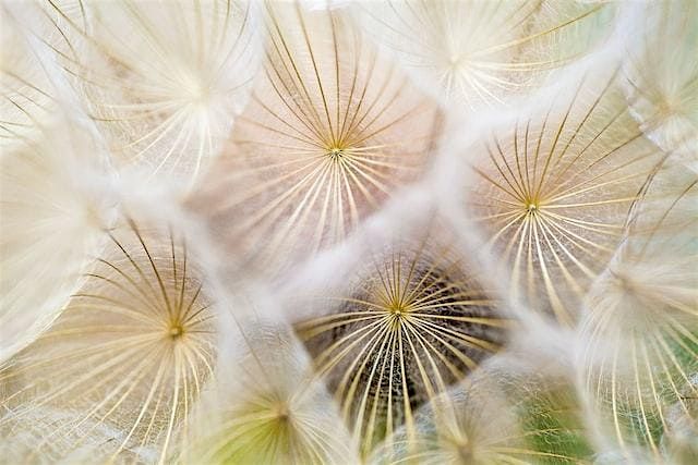 Rise Again: Tools for the Embodied Life: Yoga Workshop with Barbara Voinar, 28 June | Event in Berkeley | AllEvents