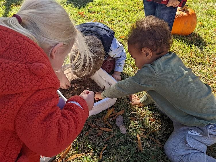 Little Explorers: Way Up High in an Apple Tree, 26 September | Event in Raleigh | AllEvents