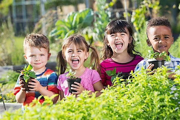 Fantastic Farmhands Elementary Age Program (Min Age 6-10), 9 September | Event in Westport | AllEvents