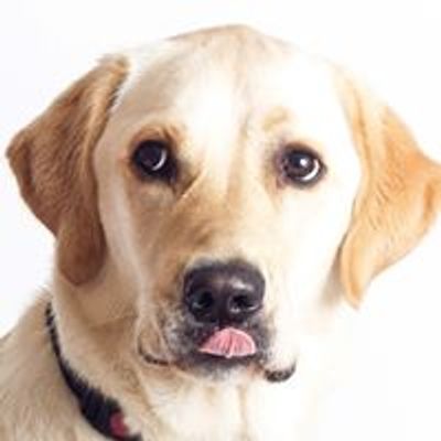 Guide Dogs West Fife Fundraising Group