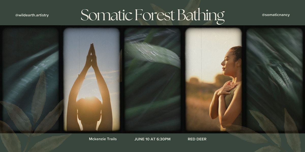 Somatic Forest Bathing, 10 June | Event in Red Deer | AllEvents