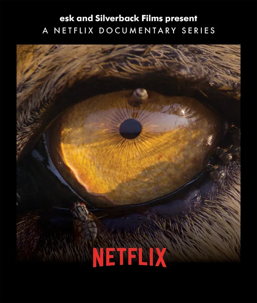 The Making of Our Planet at Plaza Theatre - Palm Springs, 7 April | Event in Palm Springs | AllEvents