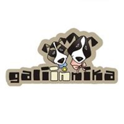 Gali Pet-shop Ljubljana