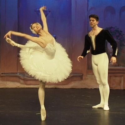 Ave Maria Academy of Ballet logo