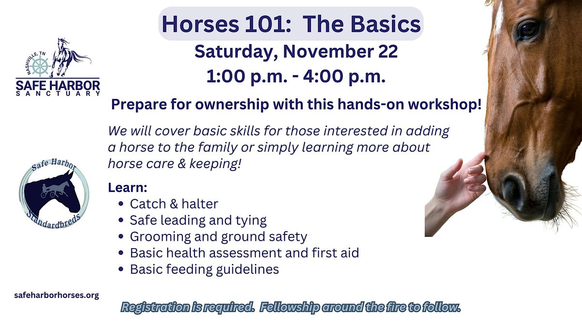 Horses `101:  The Basics, 22 November | Event in Cross Plains | AllEvents