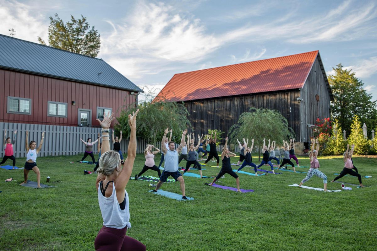 Vino & Vinyasa with Lindsay Cook at Great Frogs Winery, 11 September | Event in Annapolis | AllEvents