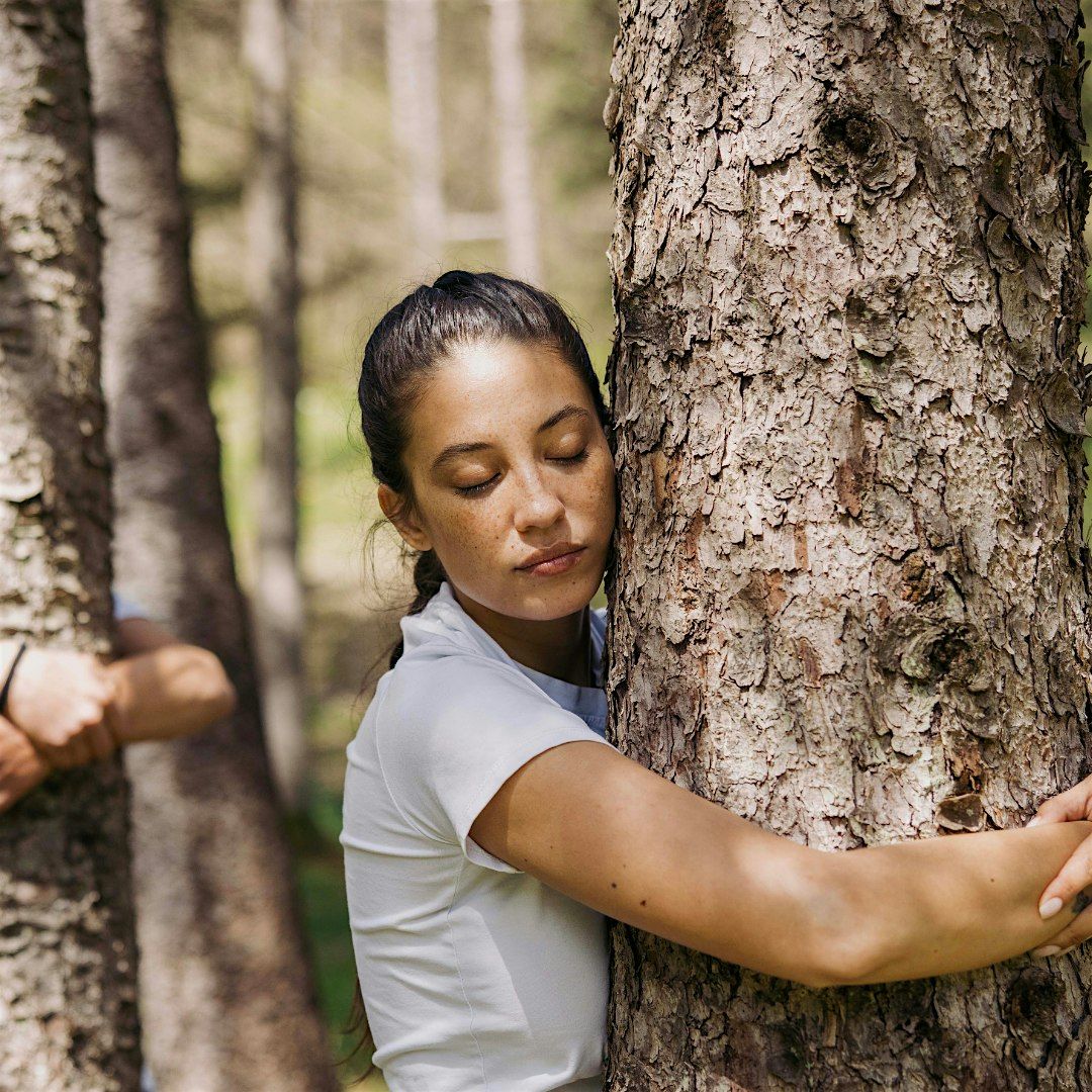 FOREST BATHING, 24 May | Event in Stenico | AllEvents