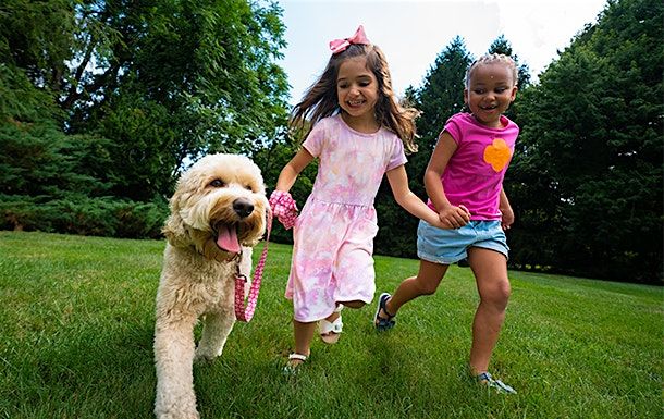 Pets & Pet Inventions with Girl Scouts!!!, 9 August | Event in Annapolis | AllEvents