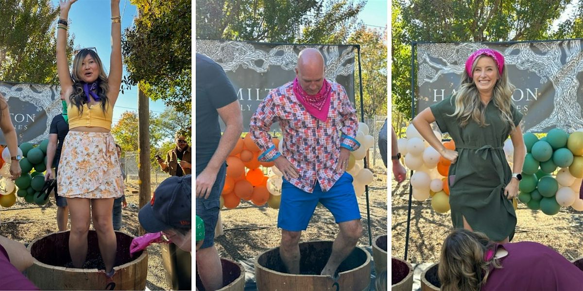 Hamilton Family Wines 2nd Annual Grape Stomp!, 19 October | Event in Kenwood | AllEvents