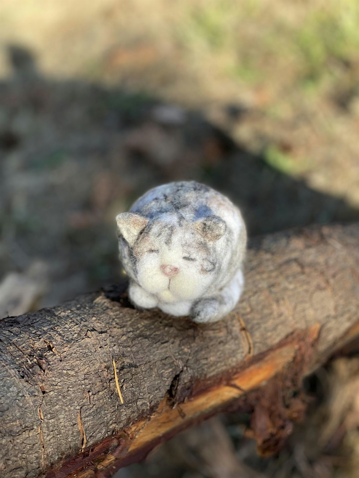 Needle Felting Class - Sleepy Cat at Swan Island Dahlias, 29 August | Event in Canby | AllEvents