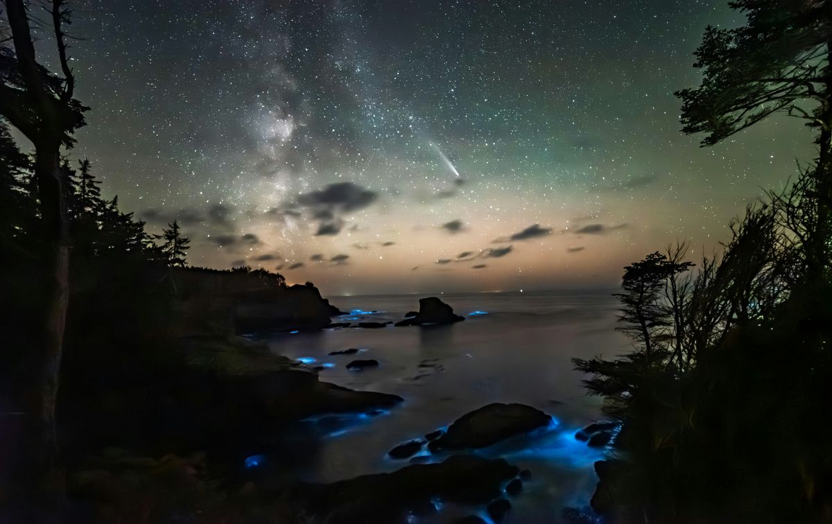 Night Under the Stars, 25 July | Event in Neah Bay | AllEvents