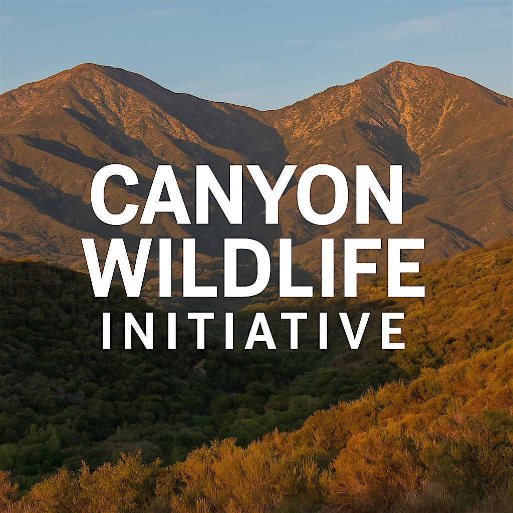 Our Canyon, Their Home: A Wildlife Awareness Evening, 18 September | Event in Silverado | AllEvents