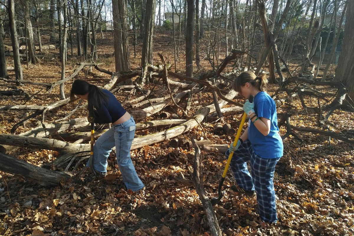 Sunday 10/26 Volunteer Invasive Bush Removal - Dobbs Ferry Juhring Preserve, 26 October | Event in Dobbs Ferry