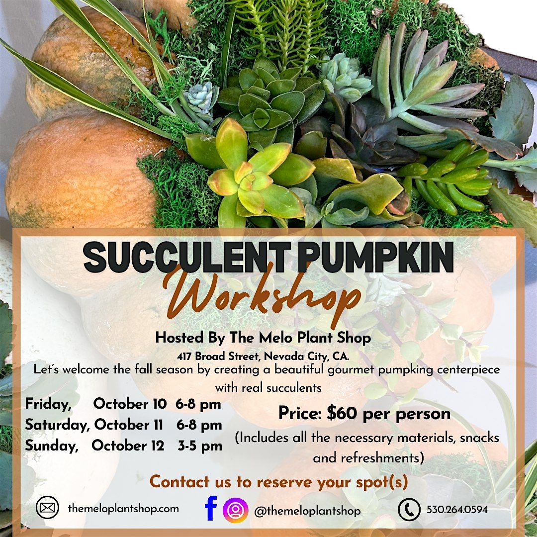 Fall Succulent Pumpkin Workshop, 10 October | Event in Nevada City | AllEvents