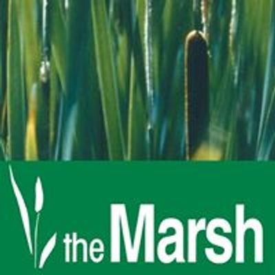 The Marsh