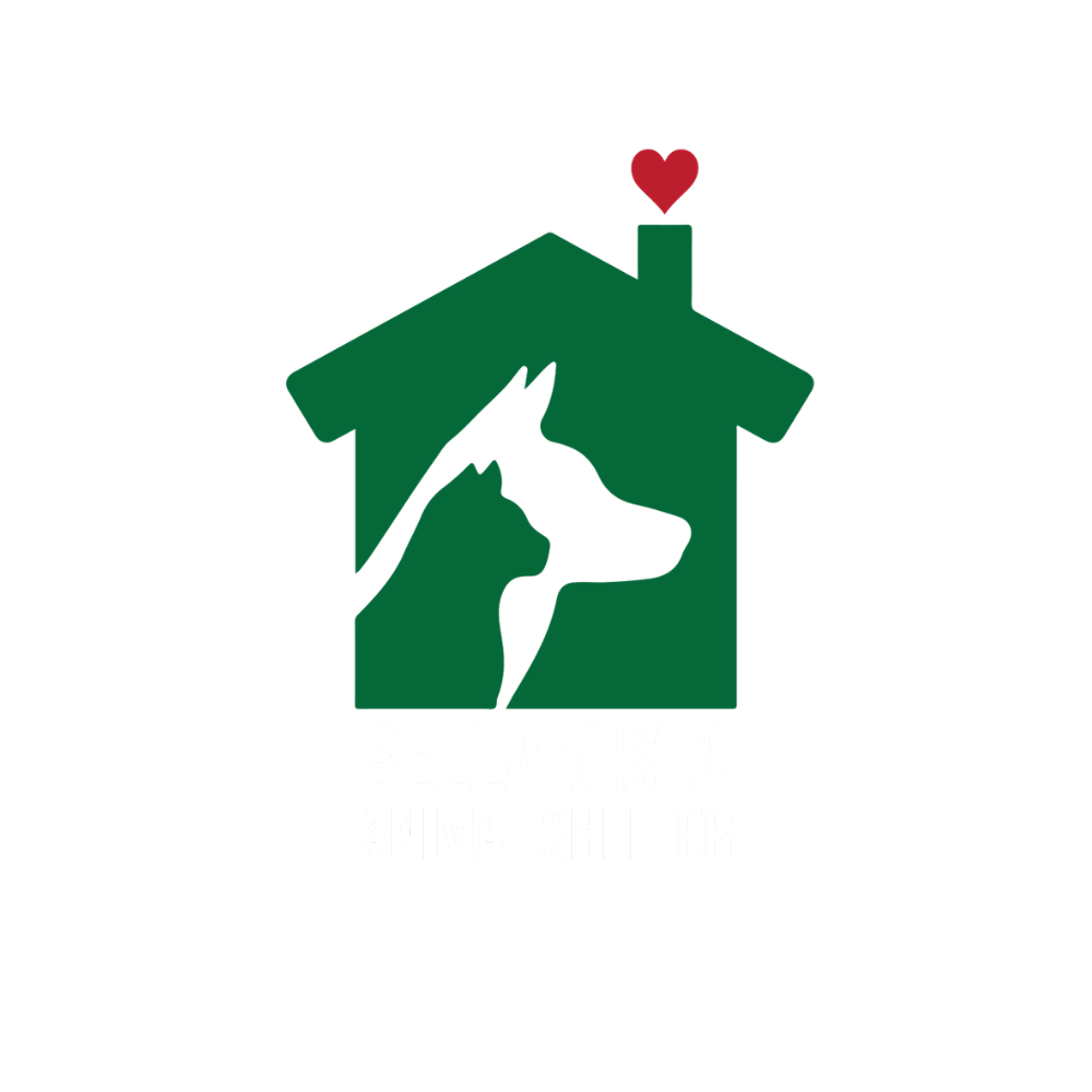 Chip N Dip - Low cost microchipping for dogs, 28 June | Event in Bella Vista | AllEvents