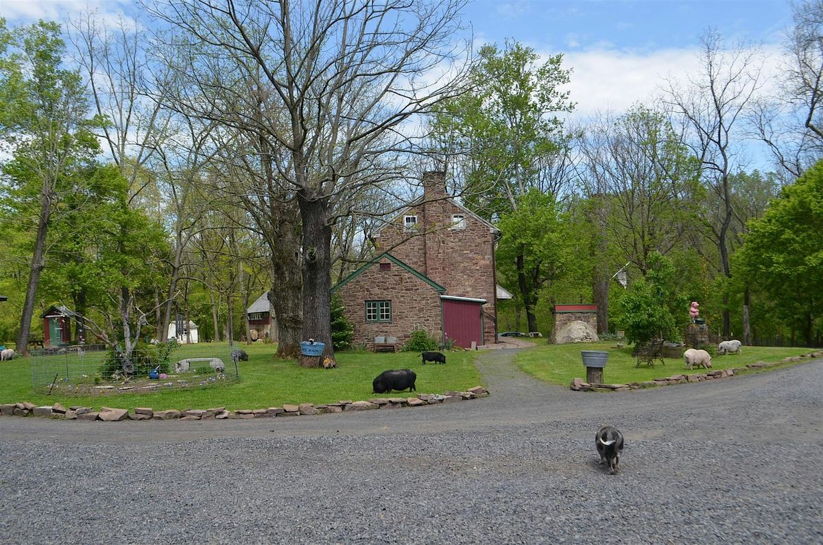 Mini Piggy Palooza 2025 | Event in Jamison | AllEvents