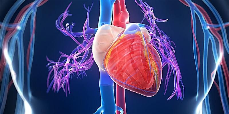 Cardiac Connection-Understanding Cardiomyopathy, 19 November | Event in Spartanburg | AllEvents