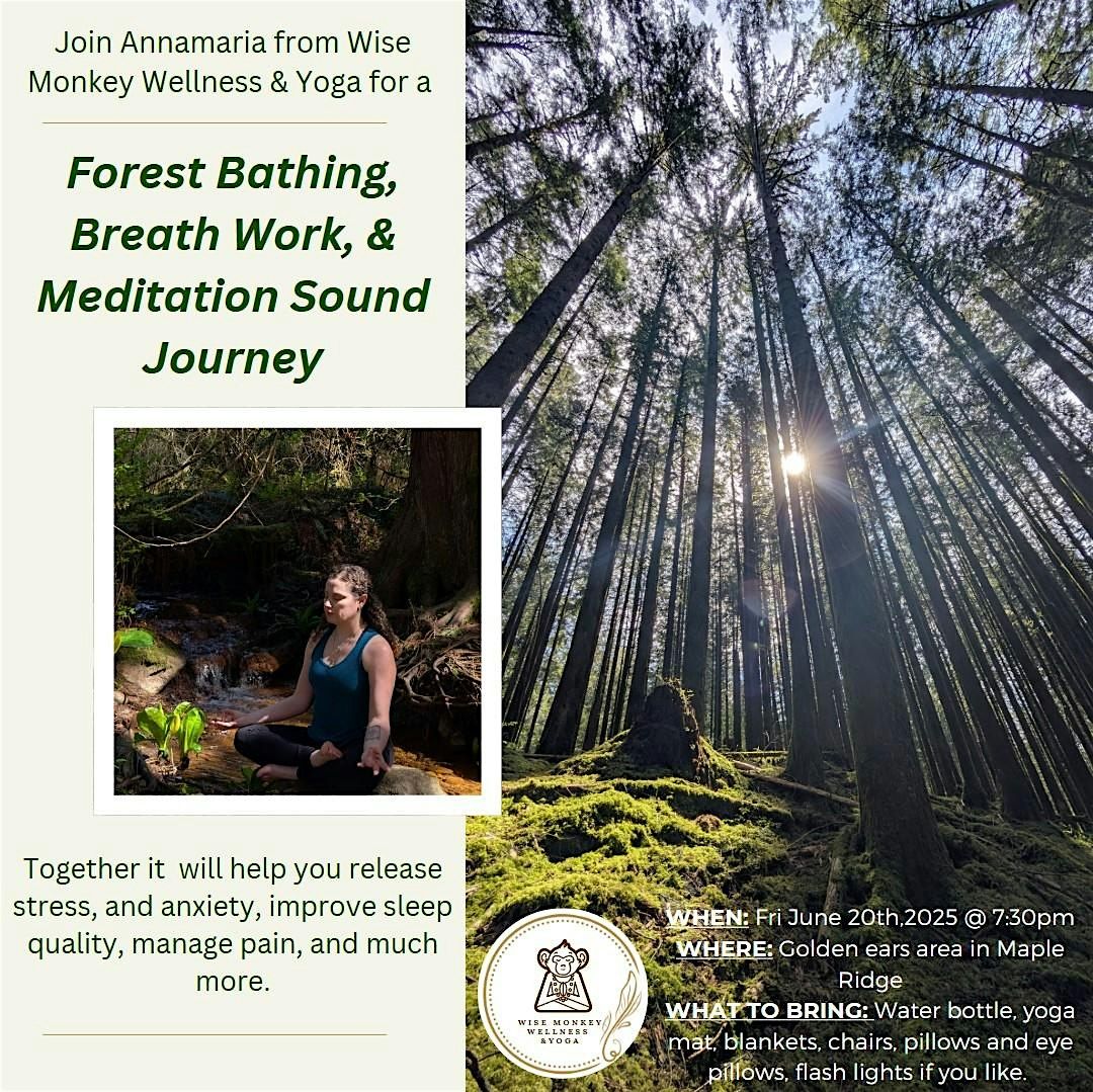 Golden Hour Forest Bathing & Sound Journey, 20 June | Event in Maple Ridge | AllEvents