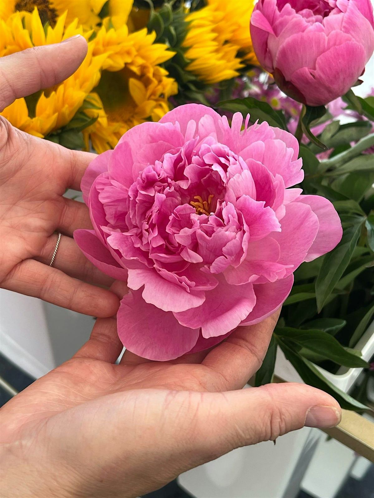 Vibrations in Bloom Sound Bath & Meditation with Flower Bloom Bar, 29 June | Event in Phoenix | AllEvents