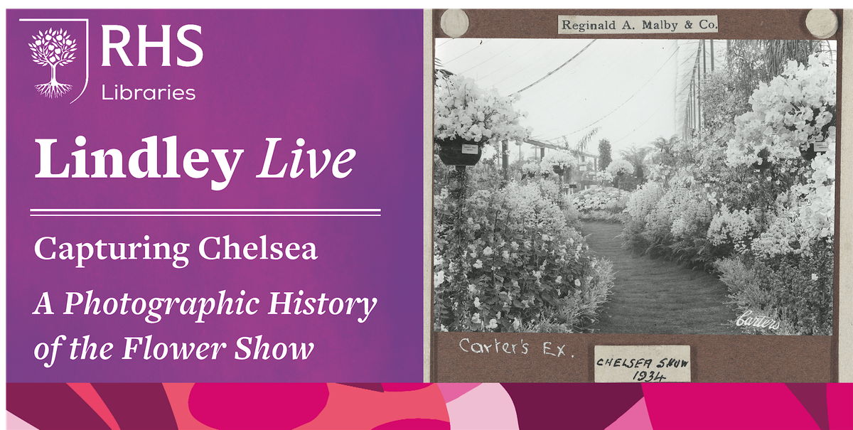 Lindley Live - Capturing Chelsea: A Photographic History of the Flower ...