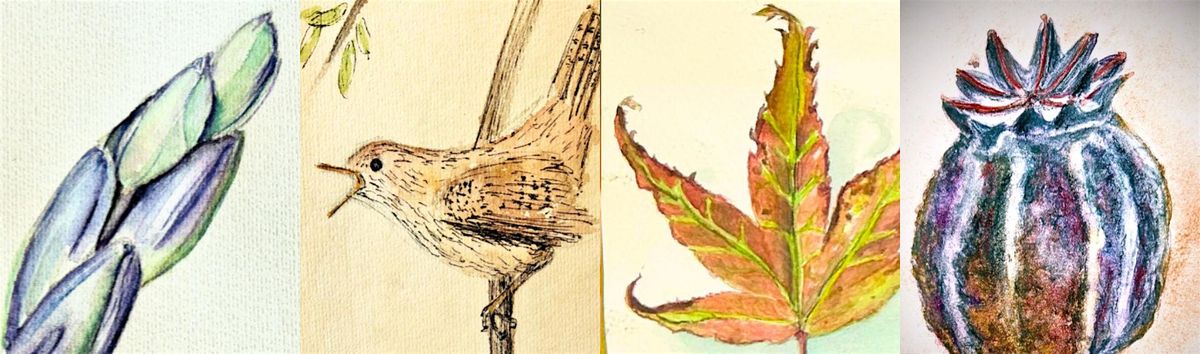 Autumn Colour, 4 October | Event in Hereford | AllEvents