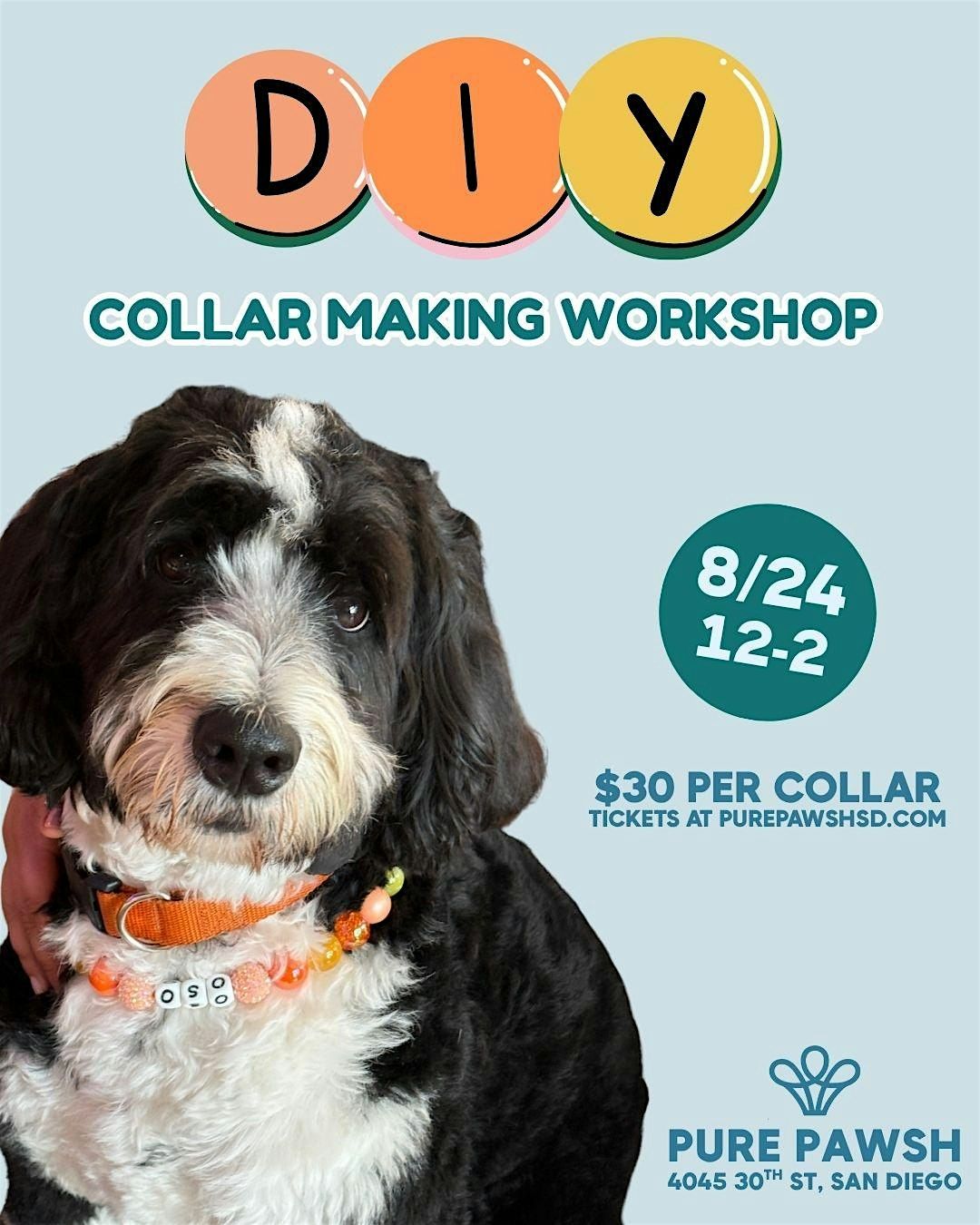 Collar Making Workshop, 24 August | Event in San Diego | AllEvents