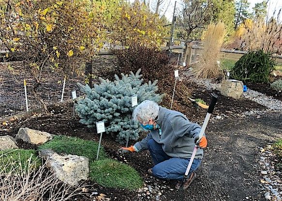 Preparing Your Landscape for Winter, 13 September | Event in Bend | AllEvents