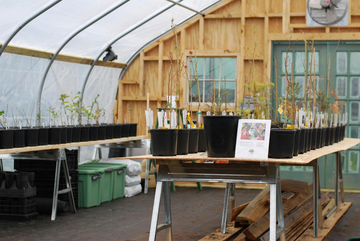 Talking Trees: Trimming and Training Trees, 15 May | Event in Newport | AllEvents