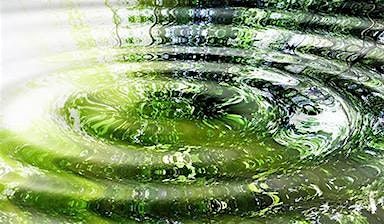 Positively Influence Others - Meditation Workshop, 21 October | Event in San Francisco | AllEvents